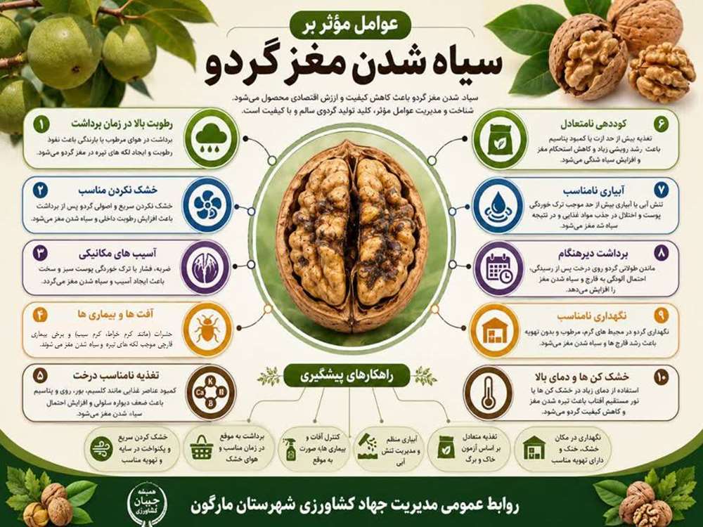 عوامل موثر بر سیاه شدن مغز گردو 